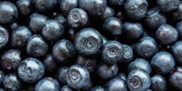 healthy eating habits and nutrition basics