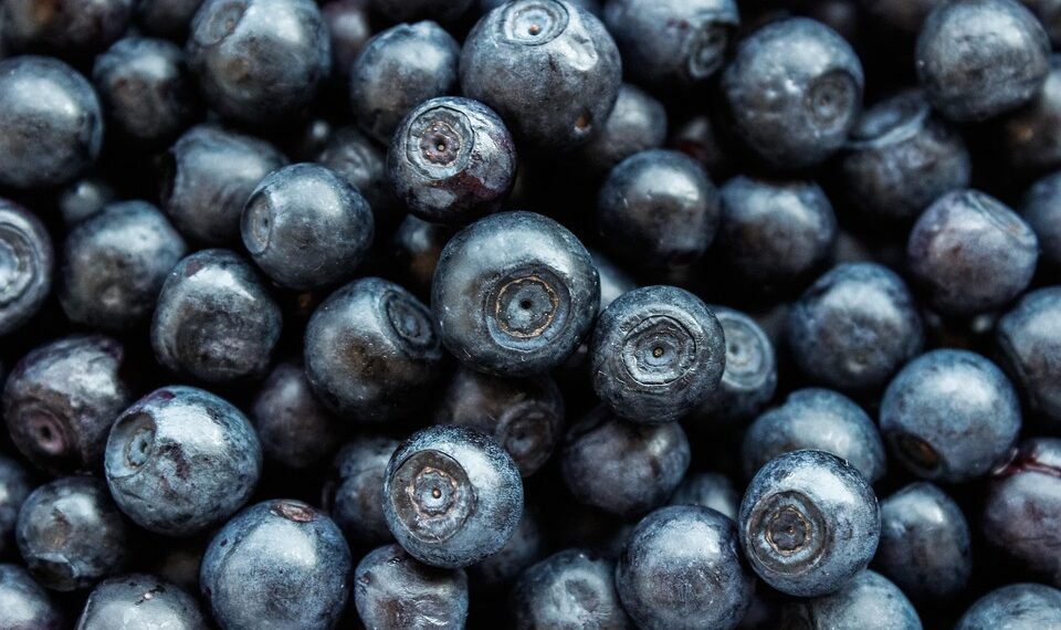 healthy eating habits and nutrition basics