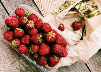 healthy eating habits and nutrition basics