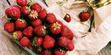 healthy eating habits and nutrition basics