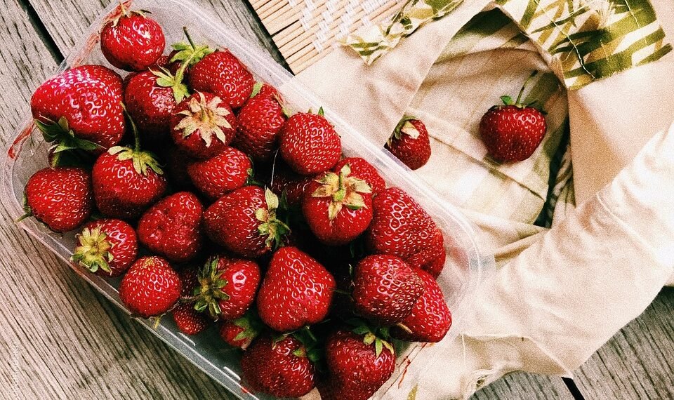 healthy eating habits and nutrition basics