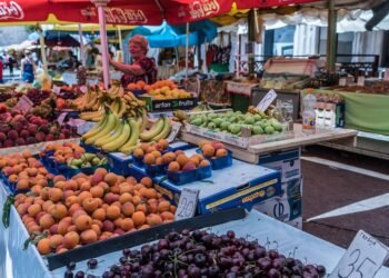 healthy eating habits and nutrition basics