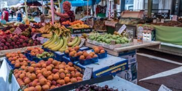 healthy eating habits and nutrition basics
