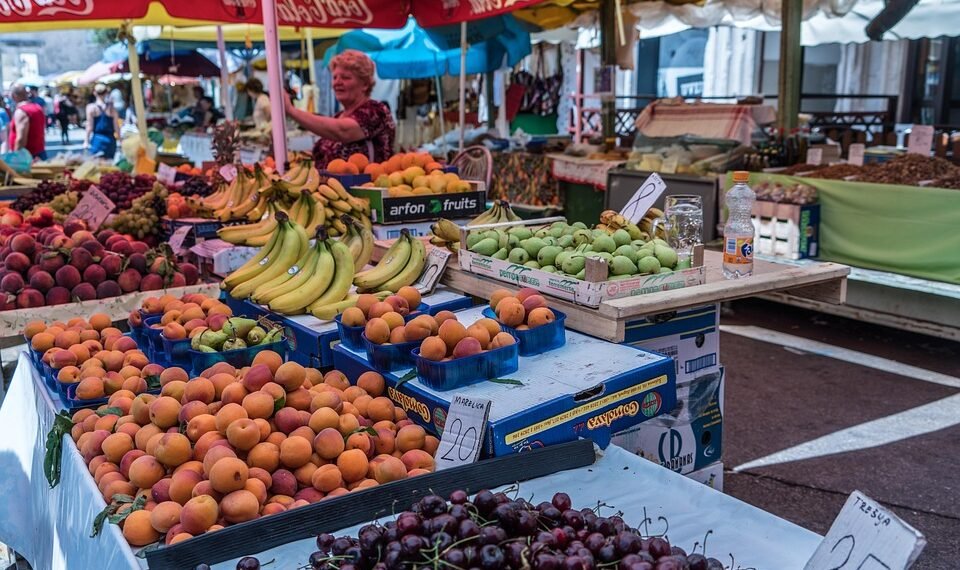 healthy eating habits and nutrition basics