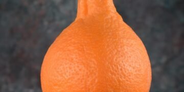 healthy eating habits and nutrition basics