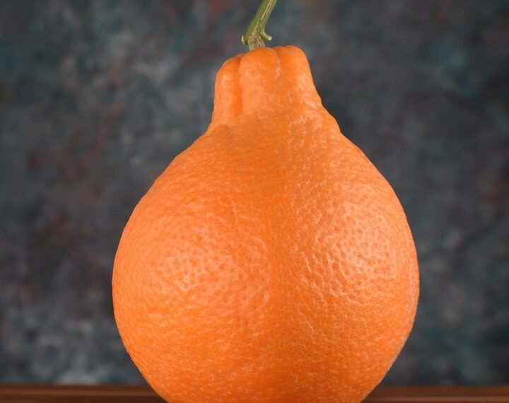 healthy eating habits and nutrition basics