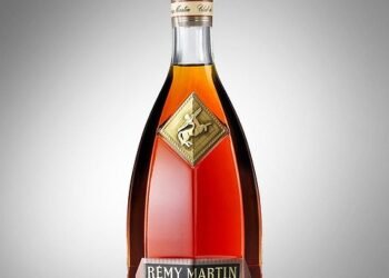 martin scorsese contribution to filmmaking