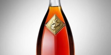 martin scorsese contribution to filmmaking