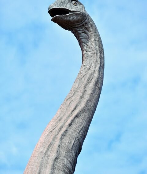 history of british cinema evolution