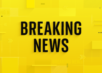Nine Lives Lost in South Africa Tavern Attack: Authorities Investigate
