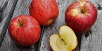 healthy eating habits and nutrition basics