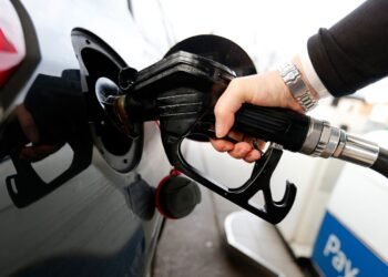 Oil Prices Drop While Petrol Costs Remain Steady: What's Behind the Difference?