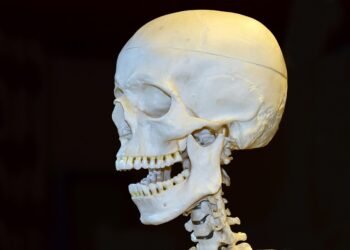 how the human brain processes information