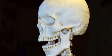 how the human brain processes information