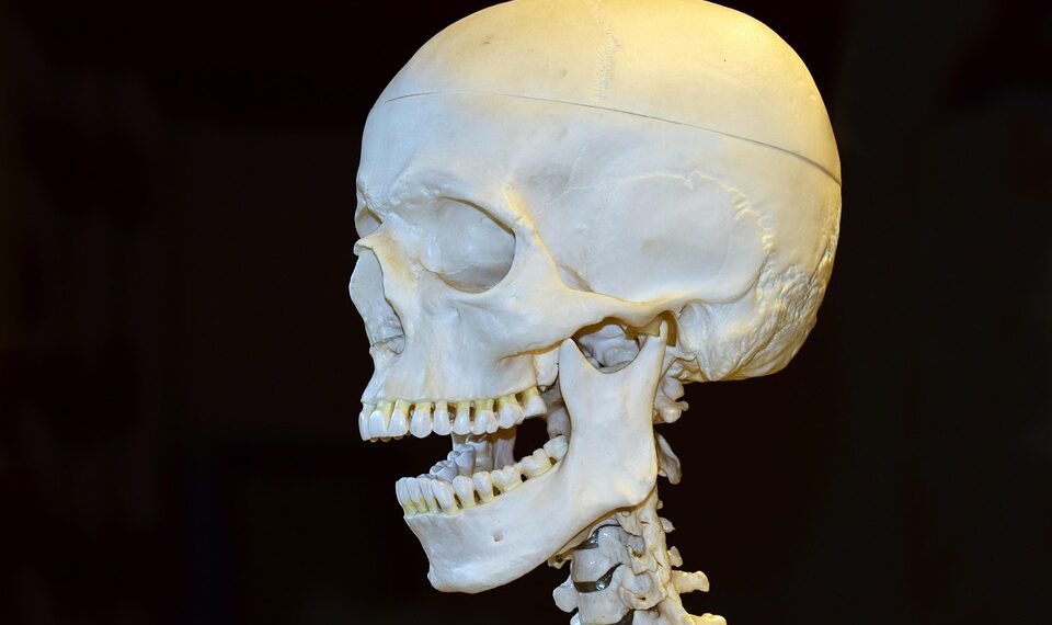 how the human brain processes information