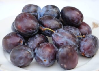 stanley kubrick directing style explained