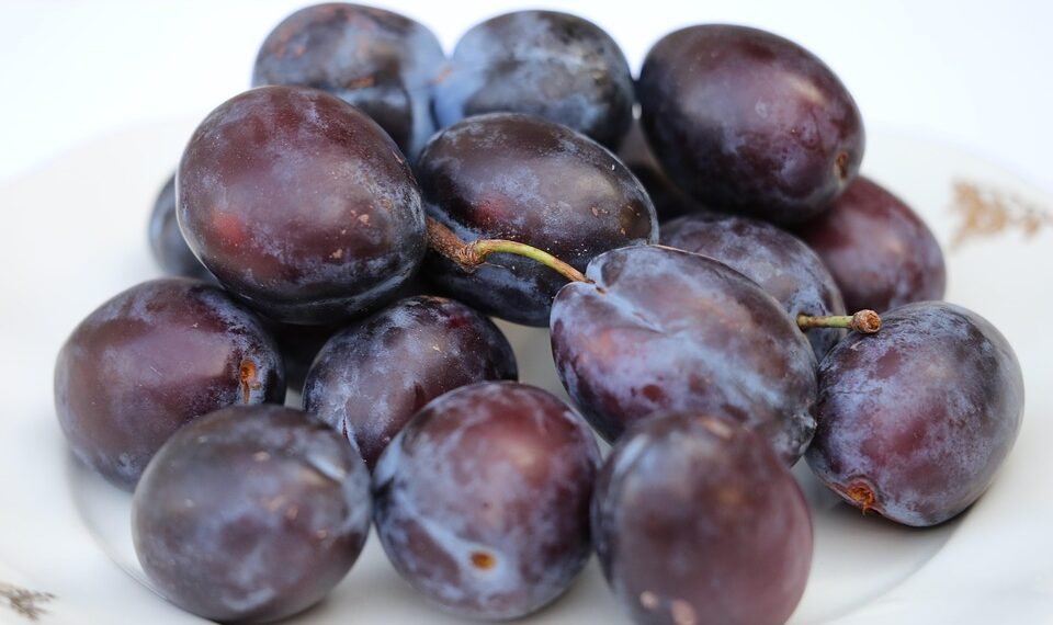 stanley kubrick directing style explained