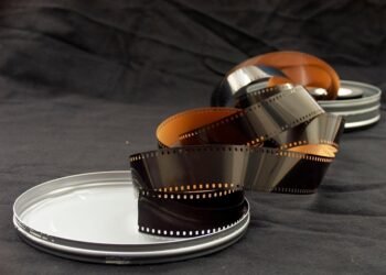 role of film critics in shaping cinema culture