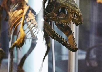 history of indian cinema evolution