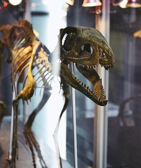 history of indian cinema evolution