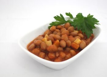 basics of human kidney function