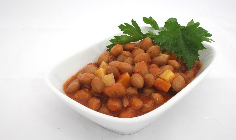 basics of human kidney function