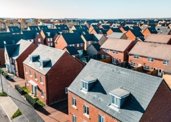 Property Investment: Insights from Winners and Losers Over the Last 15 Years