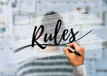 how the cardiovascular system functions