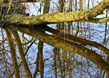 how horror films evolved across decades