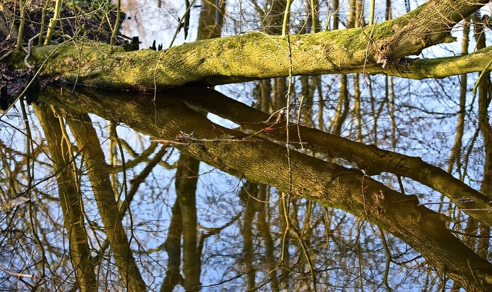 how horror films evolved across decades