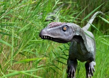 history of indian cinema evolution