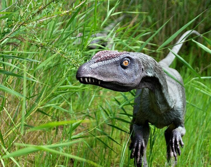 history of indian cinema evolution