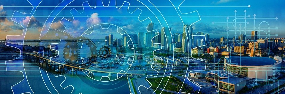 how the cardiovascular system functions