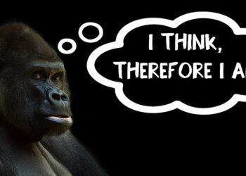 introduction to basic music theory for beginners