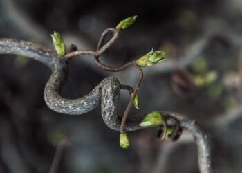 how editing rhythms shape storytelling