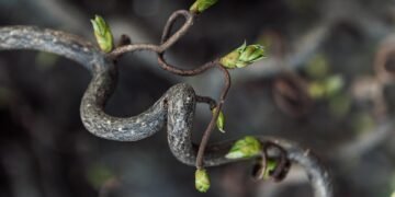 how editing rhythms shape storytelling