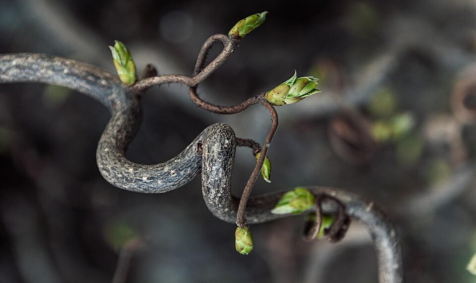 how editing rhythms shape storytelling