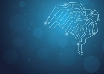 how the human brain processes information