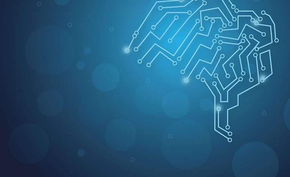 how the human brain processes information