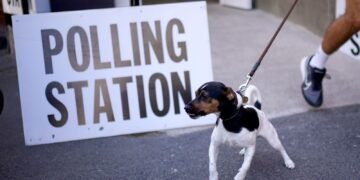 Sir Ed Davey Contacts Human Rights Watchdog Over Delays in Local Elections