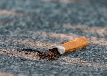 effects of smoking on human health