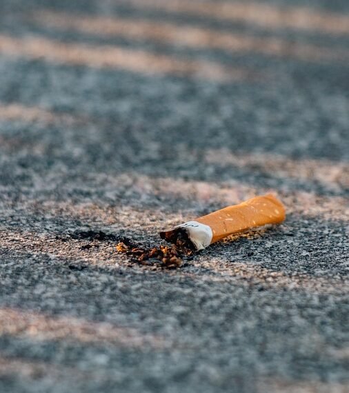 effects of smoking on human health