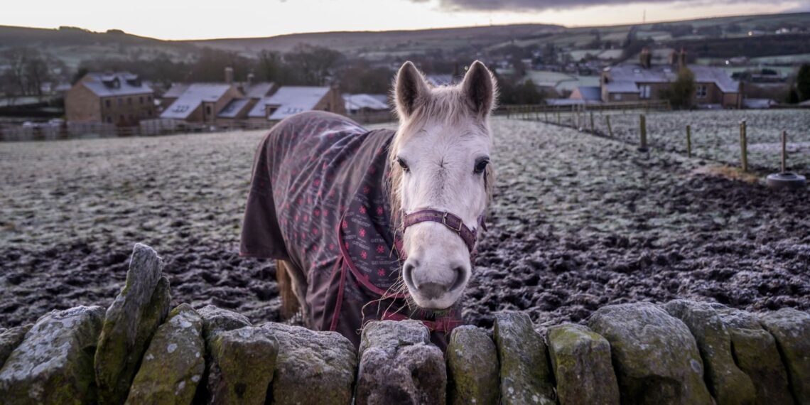 Snowfall Forecasted Across Much of the UK as Warnings Come Into Effect