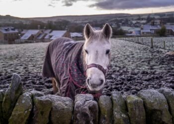 Snowfall Forecasted Across Much of the UK as Warnings Come Into Effect