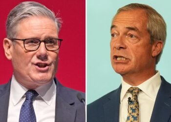 Starmer's EU Customs Union Bid Criticised as 'Fuel for Reform' Debate