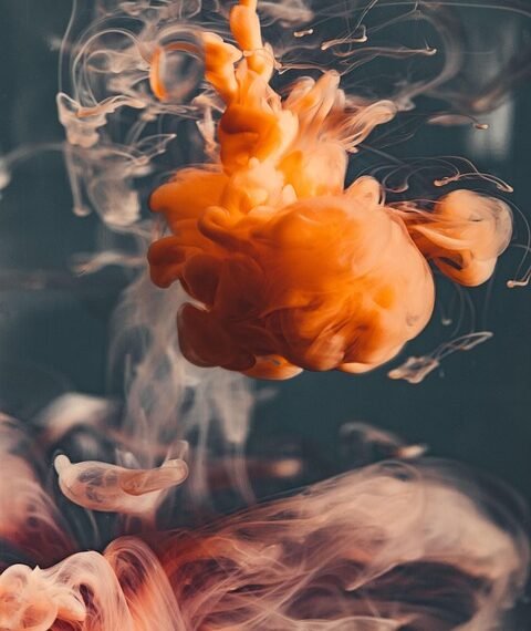 the art of stop motion filmmaking