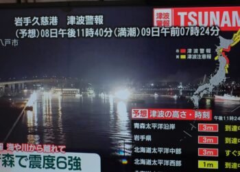 Strong Earthquake Strikes Northern Japan, Causing Tsunami and Injuries