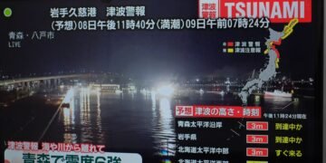 Strong Earthquake Strikes Northern Japan, Causing Tsunami and Injuries