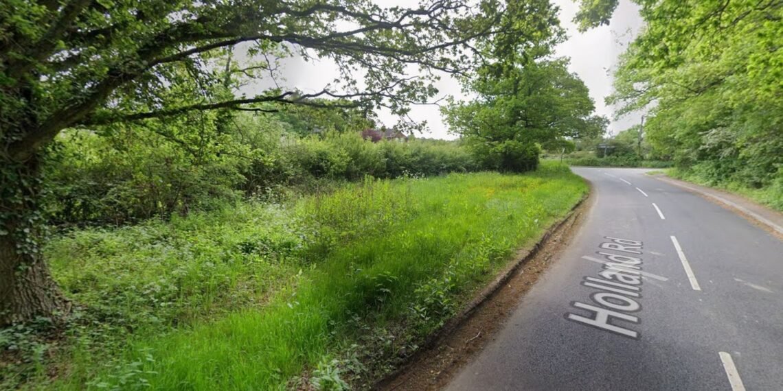 Teenagers Identified Following Fatal Tesla Taxi Crash in Surrey