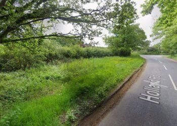 Teenagers Identified Following Fatal Tesla Taxi Crash in Surrey